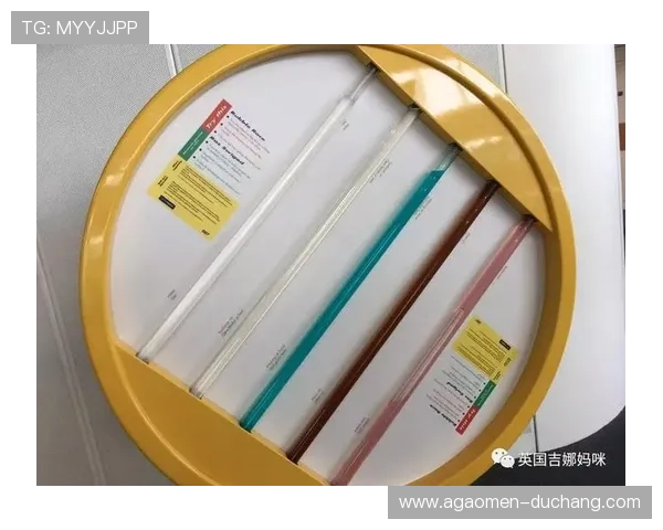 澳门英国人官网：澳门英国人官方网站提供的教育交流与文化推广项目介绍