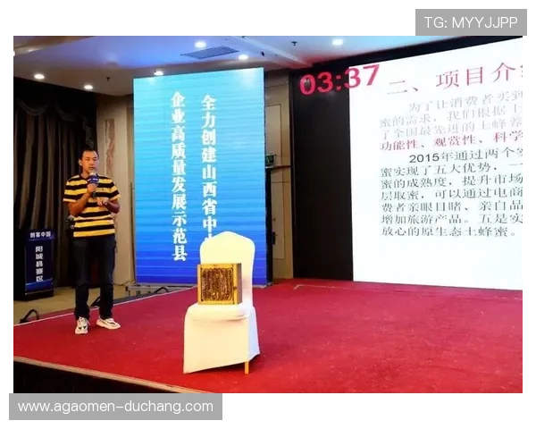 大阳城地址平台未来发展规划与技术创新，为用户提供更优质的服务体验