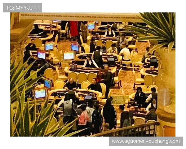 汇彩控股2024年财务业绩分析及未来发展趋势探讨汇彩控股应对市场变化的战略调整及创新探索